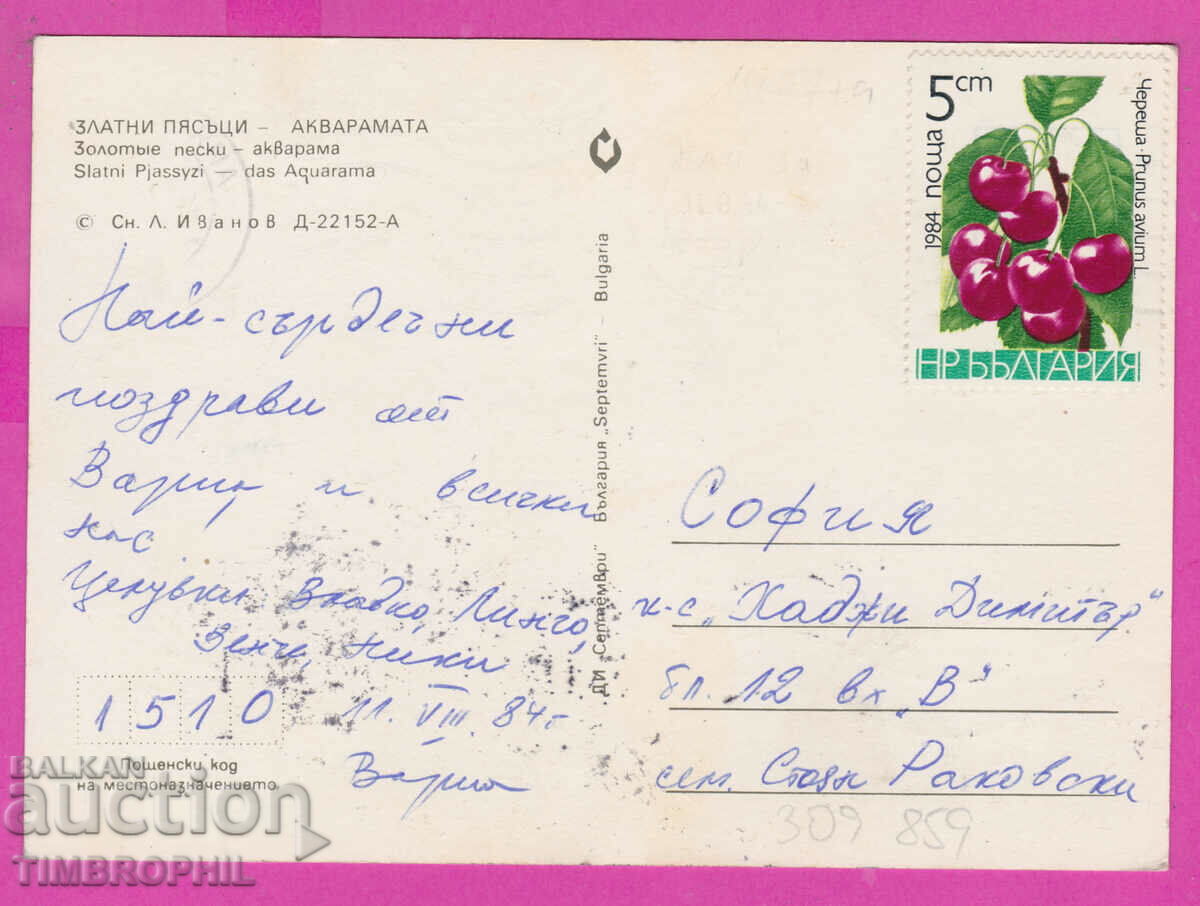 Delivery of 309859 / Golden Sands - Aquaramata. September PK