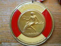medal - 2nd swim on the Rhine - Mainz 1975 - enamel