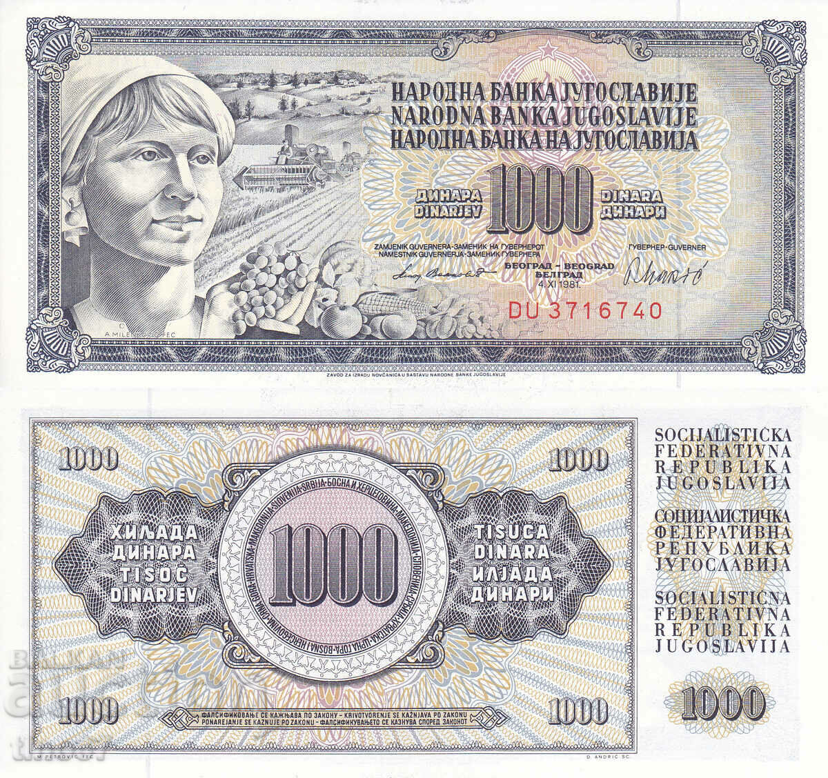 tino37- IUGOSLAVIA - 1000 DINARI - 1981 - UNC