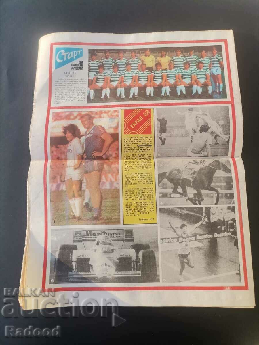 Auction In "Start". Number 701/84 CELTIC Auction In "Start". Number 701/84 CELTIC