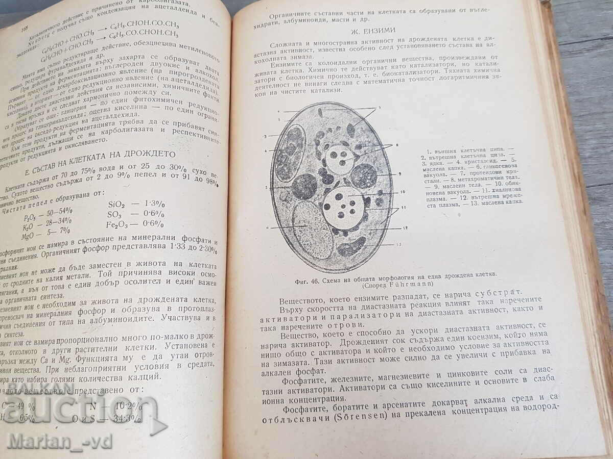 Auction Winemaking 1949, Prof. Iv. Georgiev Auction Winemaking 1949, Prof. Iv. Georgiev