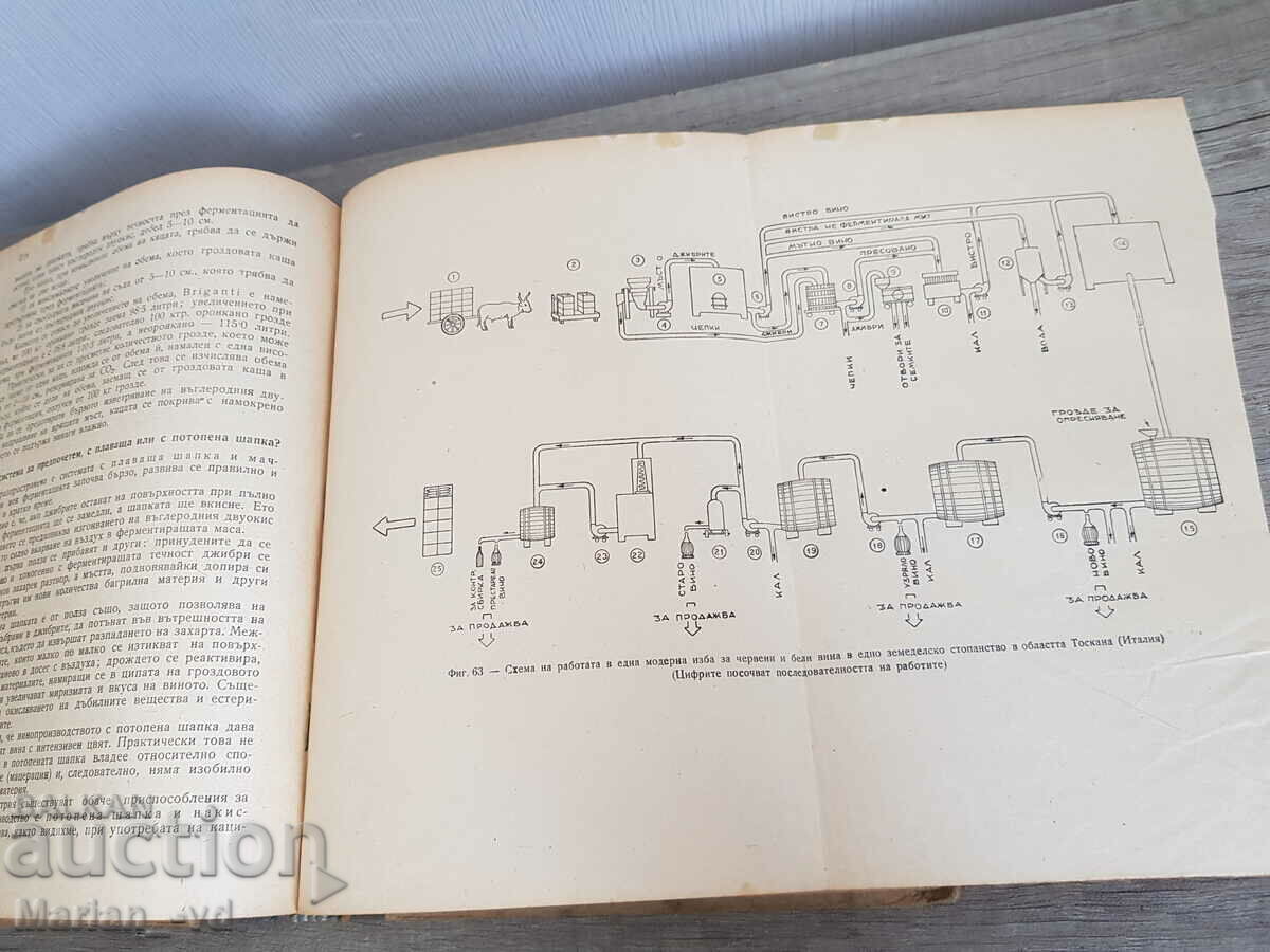 Winemaking 1949, Prof. Iv. Georgiev - 5 Winemaking 1949, Prof. Iv. Georgiev - 5