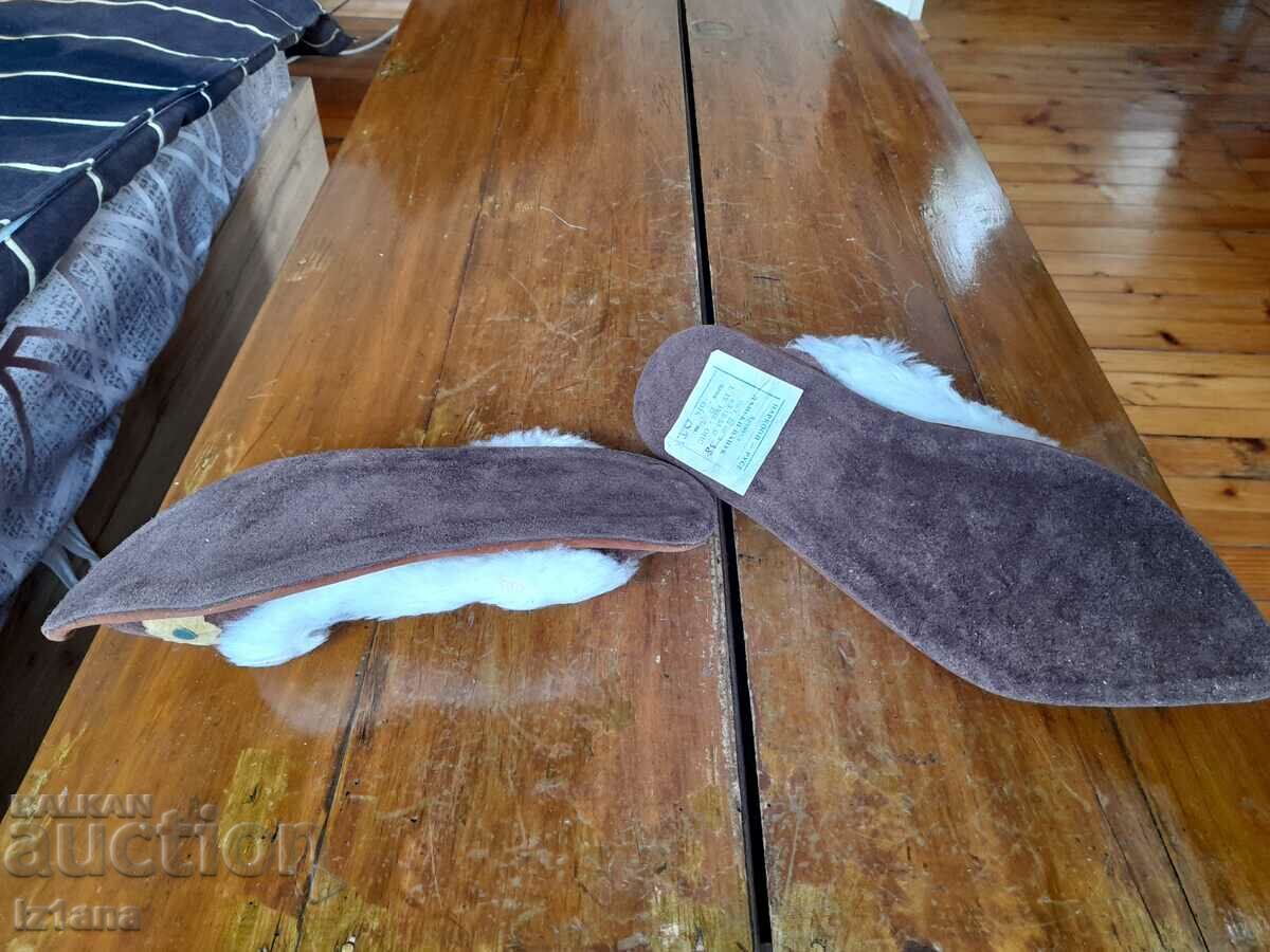 Livrarea Papuci bătrâni