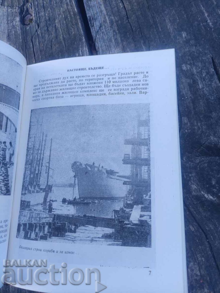 Delivery of VI review Healthy, strong, able to work - Varna, Druzhba Delivery of VI review Healthy, strong, able to work - Varna, Druzhba