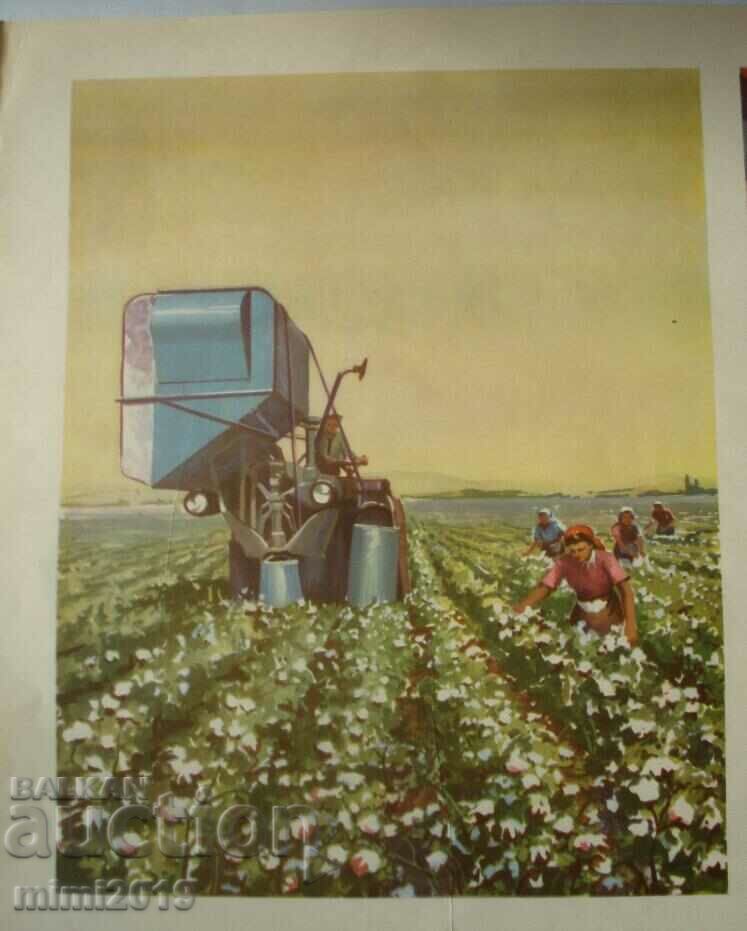 Delivery of 1950s Socialist Propaganda Color Poster Delivery of 1950s Socialist Propaganda Color Poster