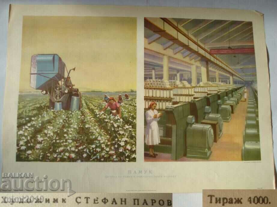 1950-та Социалистическа Пропаганда Цветен Постер