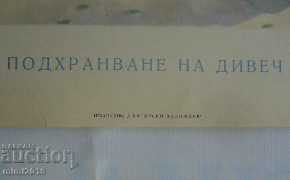 Poster color de propagandă socialistă din anii 1950 cu preț 30.00 BGN | € 15.34 Poster color de propagandă socialistă din anii 1950 cu preț 30.00 BGN | € 15.34