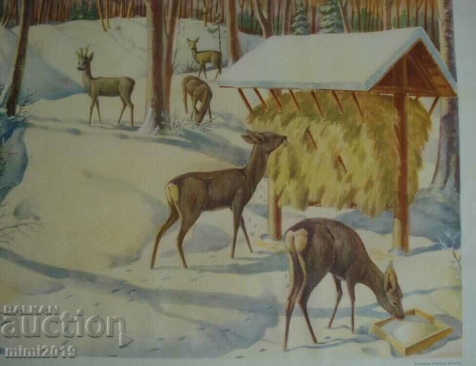 Licitație Poster color de propagandă socialistă din anii 1950 Licitație Poster color de propagandă socialistă din anii 1950