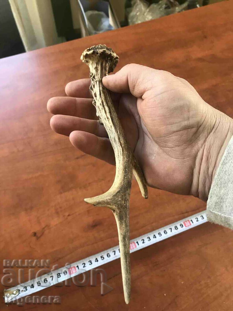 Licitație ROG SARANDAK SARANDAK PENTRU MÂNER DE CUȚIT SAU ORNAMENT