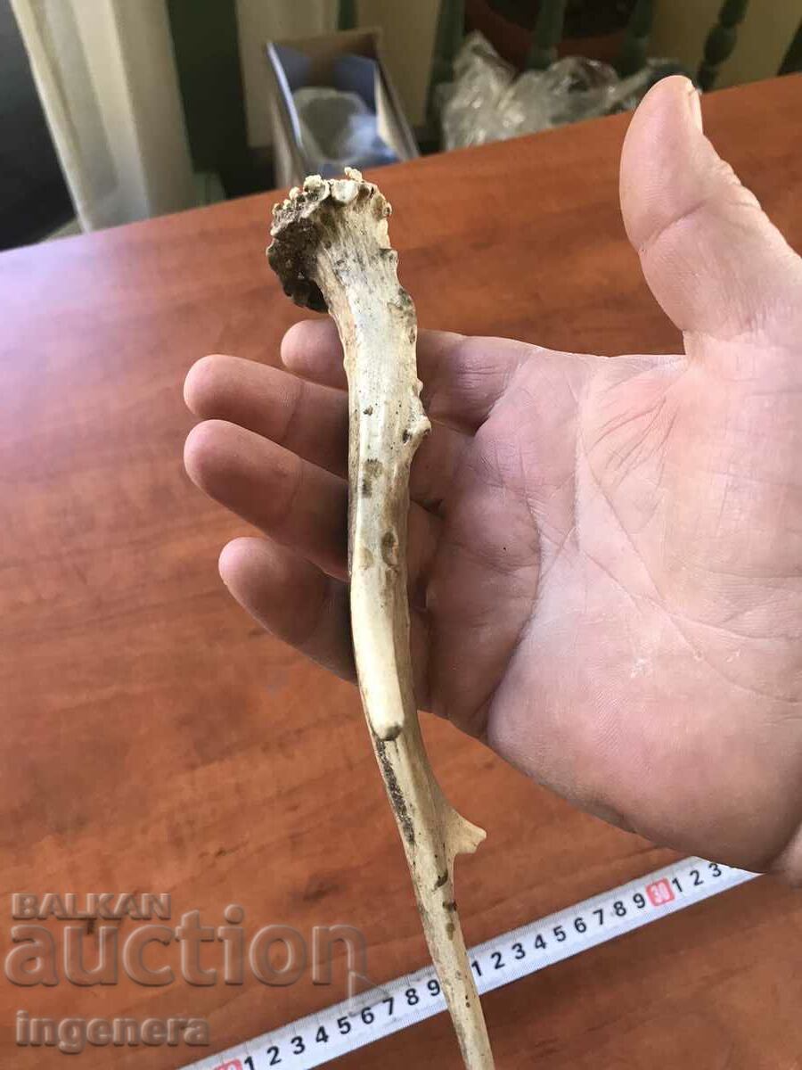 Livrarea ROG SARANDAK SARANDAK PENTRU MÂNER DE CUȚIT SAU ORNAMENT Livrarea ROG SARANDAK SARANDAK PENTRU MÂNER DE CUȚIT SAU ORNAMENT