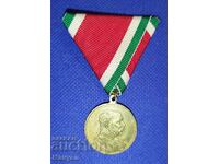 Old Austro-Hungarian medal.