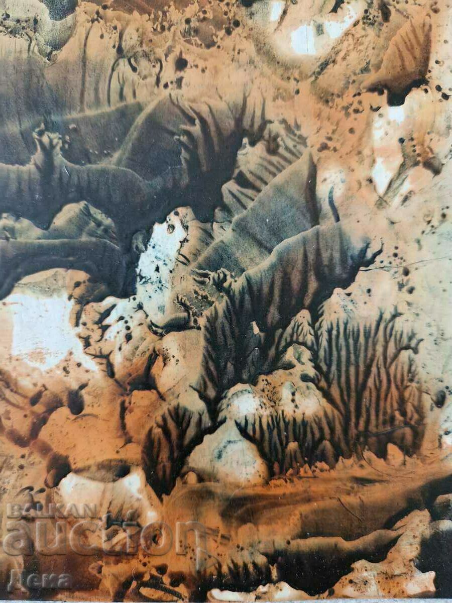 Bono Shkodrov painting - 5