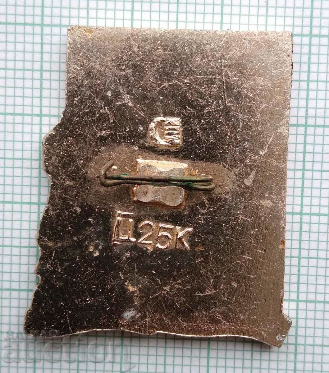 Licitație 15296 Insigna - 30 de ani ai celui de-al Doilea Război Mondial Licitație 15296 Insigna - 30 de ani ai celui de-al Doilea Război Mondial