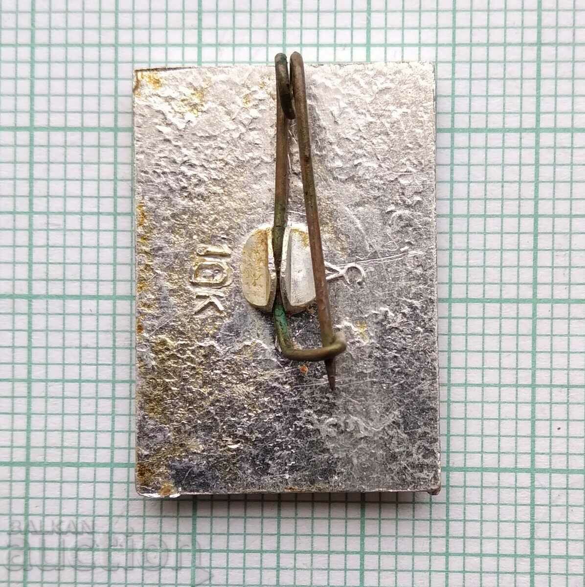 Delivery of 15307 Badge - Ship Aurora