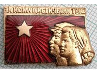 15317 Badge - For communist labor - bronze enamel