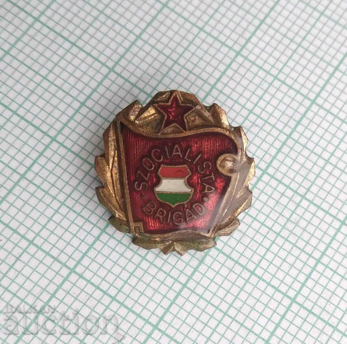 15343 Badge - Socialist Brigade Hungary - bronze enamel with price 2.00 BGN | € 1.02