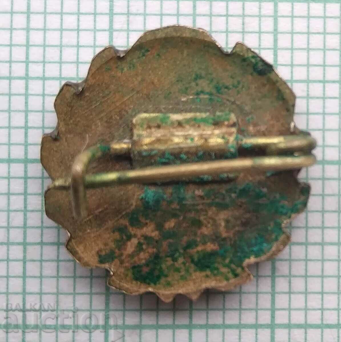 Auction  15343 Badge - Socialist Brigade Hungary - bronze enamel