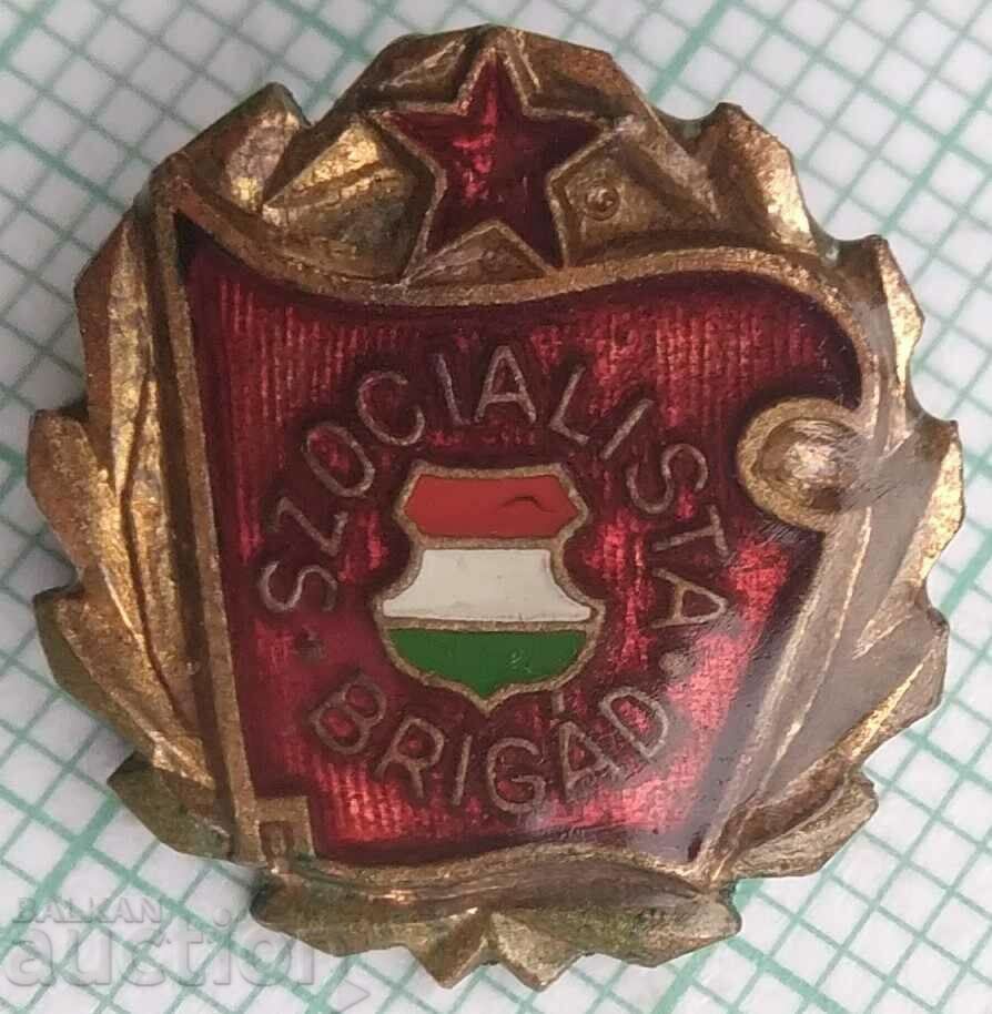 15343 Значка - Социалистическа бригада Унгария - бронз емайл