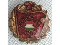 15343 Badge - Socialist Brigade Hungary - bronze enamel