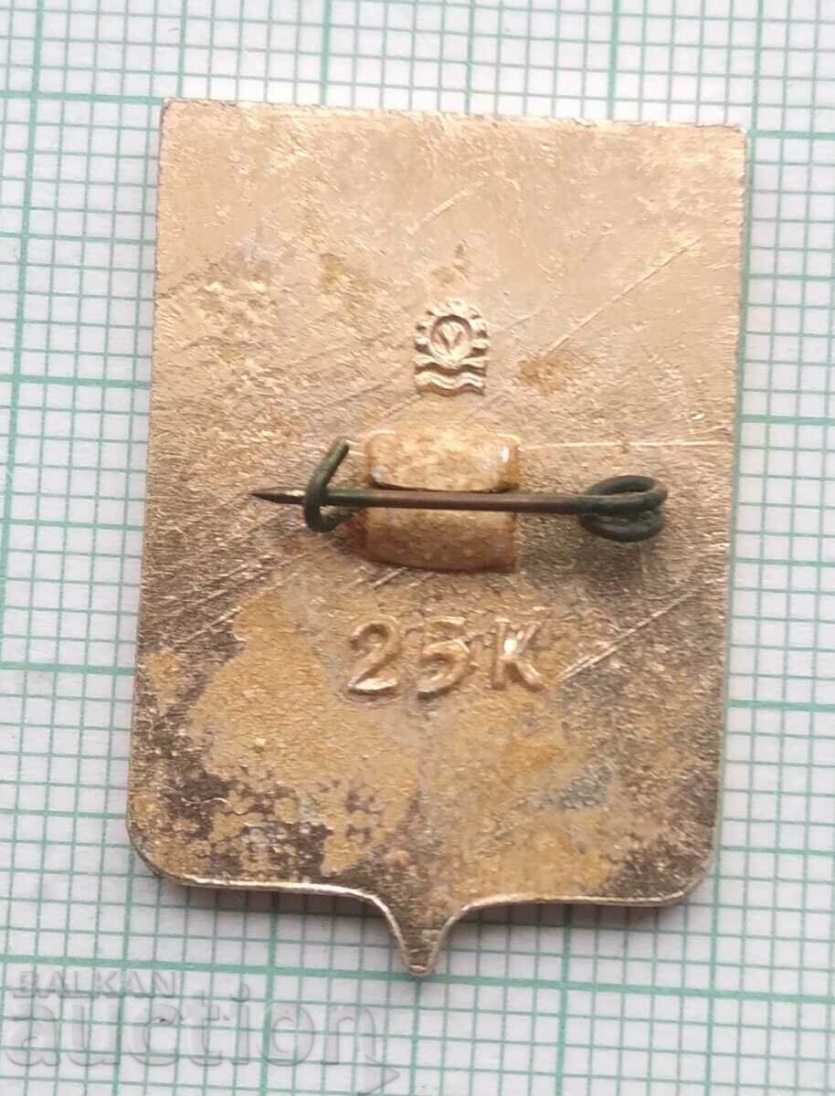 Auction  15351 Badge - USSR cities Kharkov