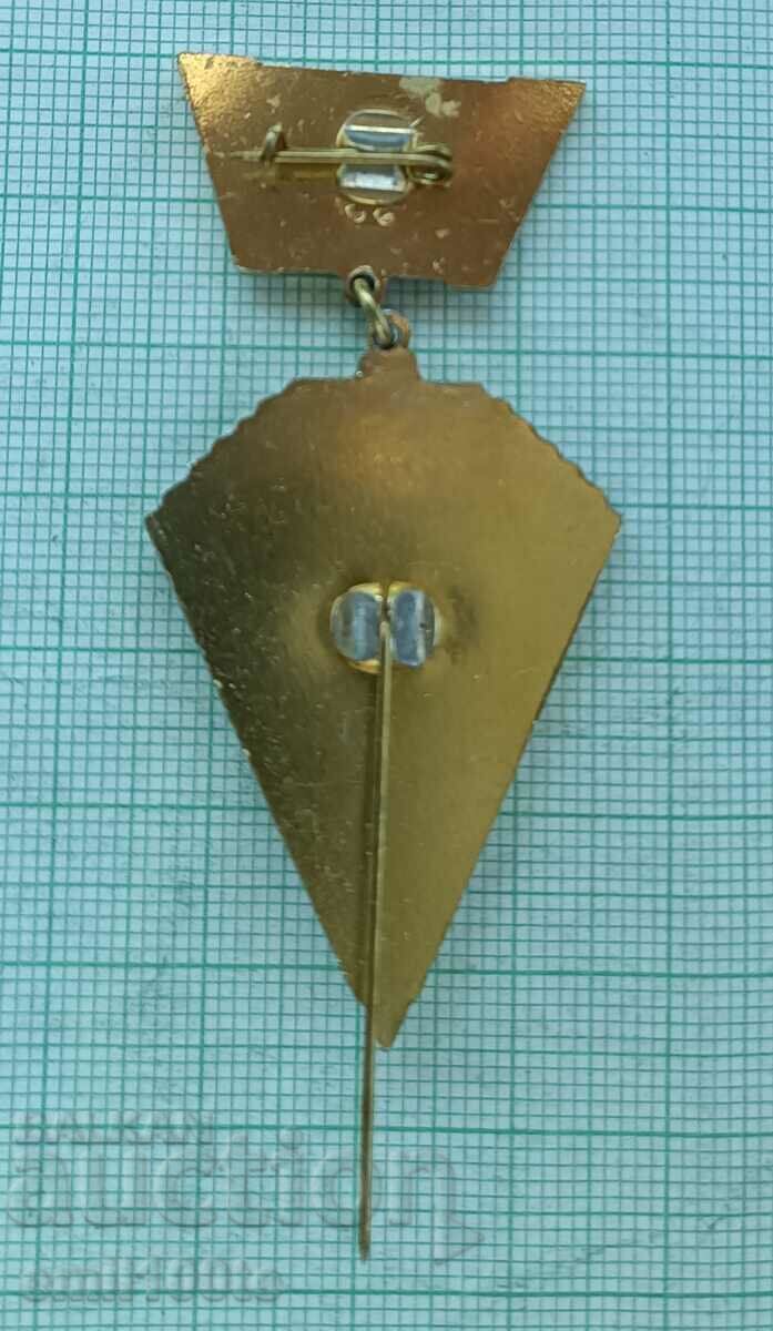 Delivery of Sign- For active Komsomol activity Internal troops