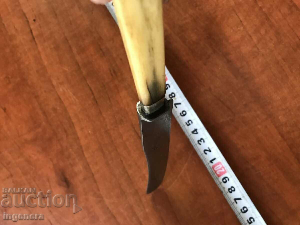 SERVICE KNIFE SOLINGEN SOLINGEN FISH IVORY - 5 SERVICE KNIFE SOLINGEN SOLINGEN FISH IVORY - 5