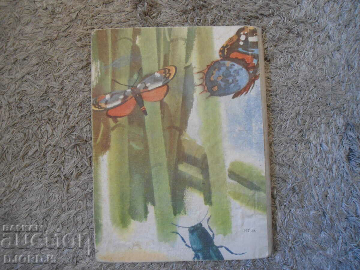 Οι περιπέτειες του CHIPONOSCO - 6 Οι περιπέτειες του CHIPONOSCO - 6