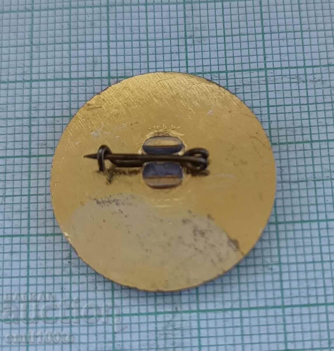 Delivery of Badge - 40 years of air sports in NRB Delivery of Badge - 40 years of air sports in NRB