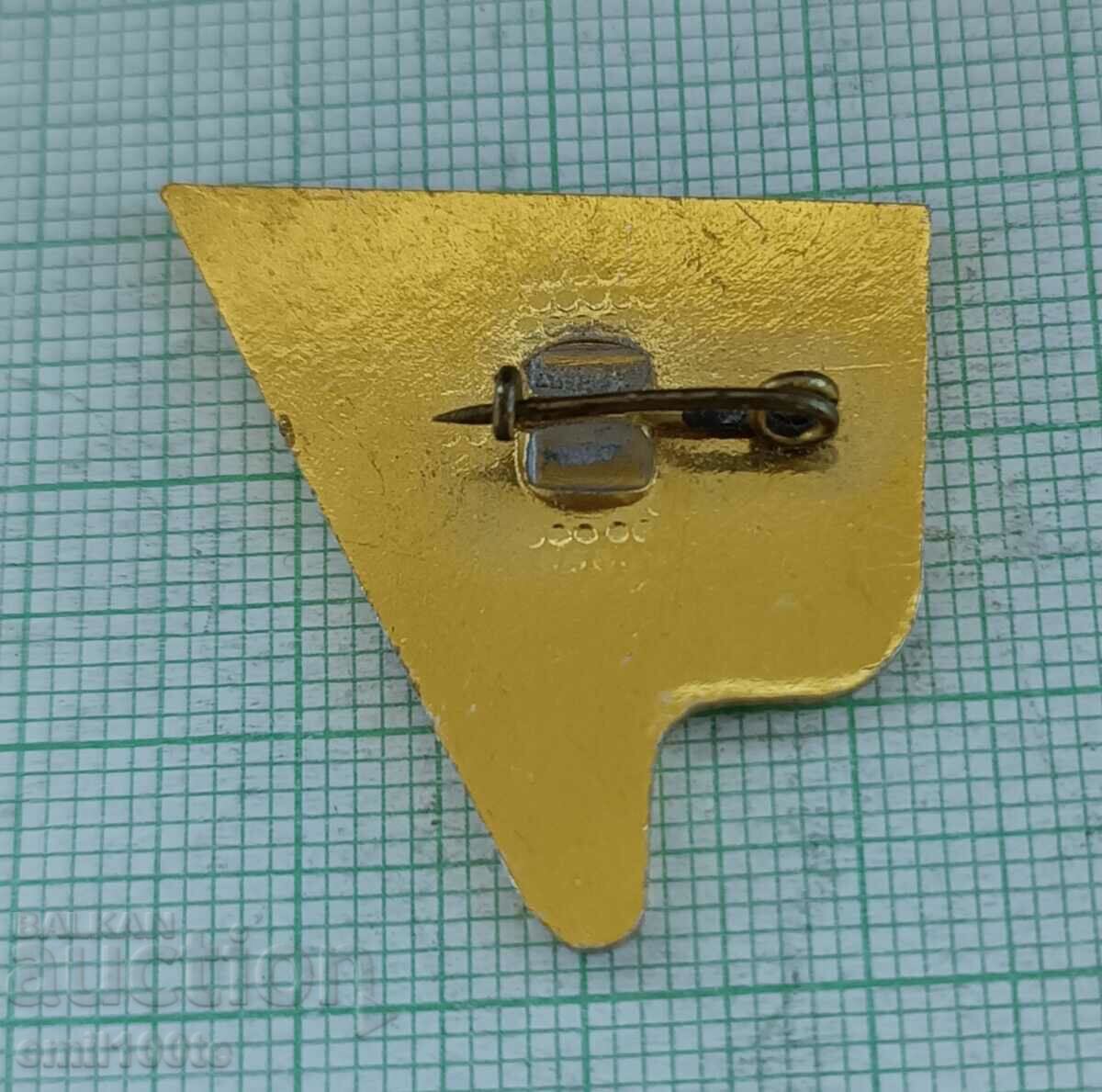 Delivery of Badge - 60 years Komsomol Petrich 1920 1980