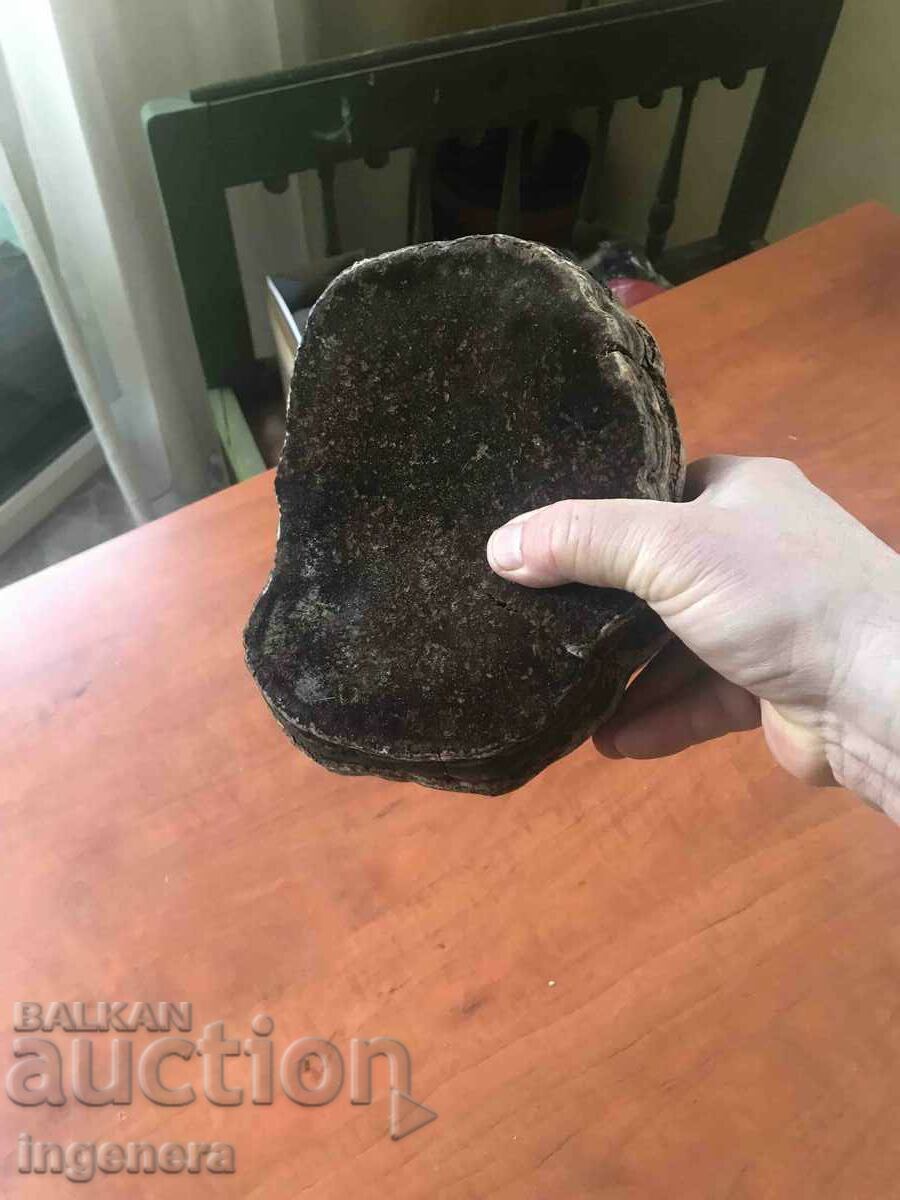 MUSHROOM WOODEN NATURAL LARGE FOR DECOR - 6 MUSHROOM WOODEN NATURAL LARGE FOR DECOR - 6