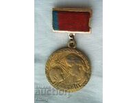 Medal "For Motherhood" - USSR