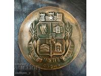 Рядък стар метален релеф за стена - герб на София