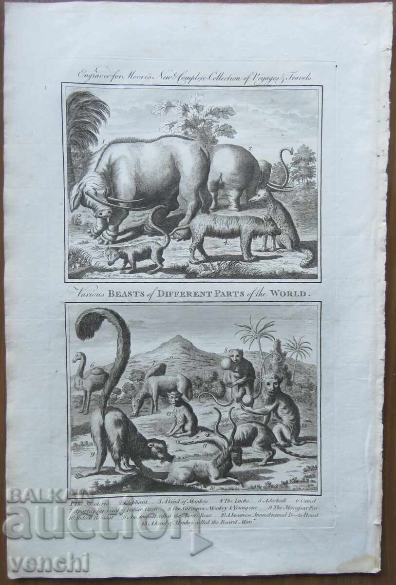 1780 - GRAVURĂ - MAURICE - ORIGINAL cu preț € 34.99 | 68.43 BGN