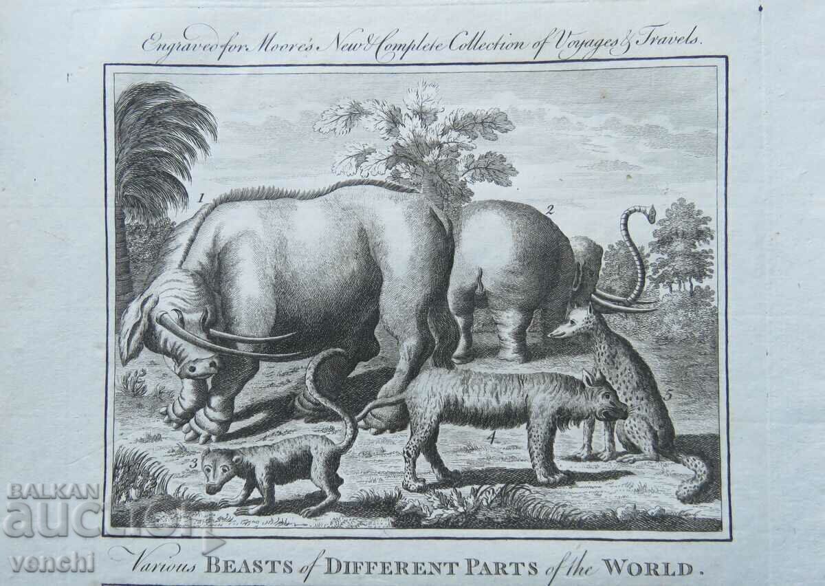 Licitație 1780 - GRAVURĂ - MAURICE - ORIGINAL