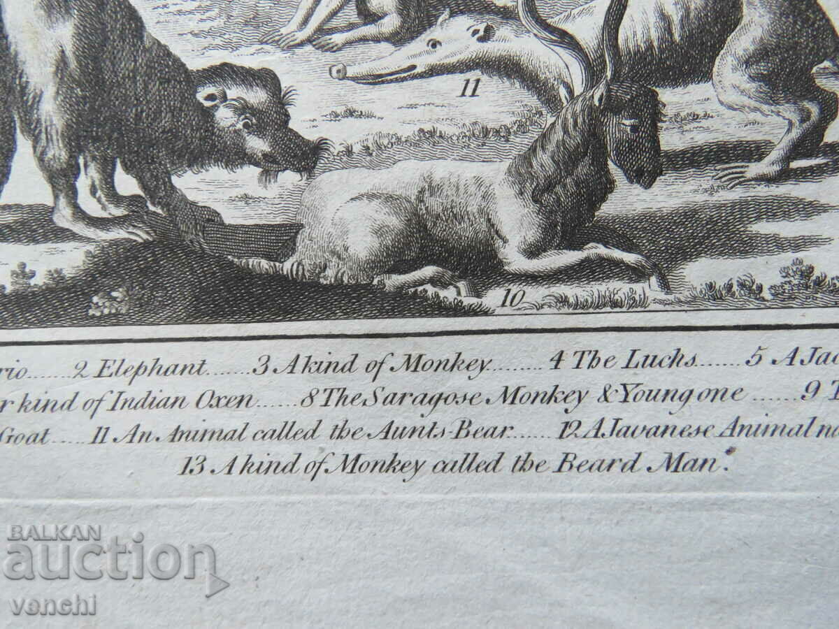 1780 - GRAVURĂ - MAURICE - ORIGINAL - 5