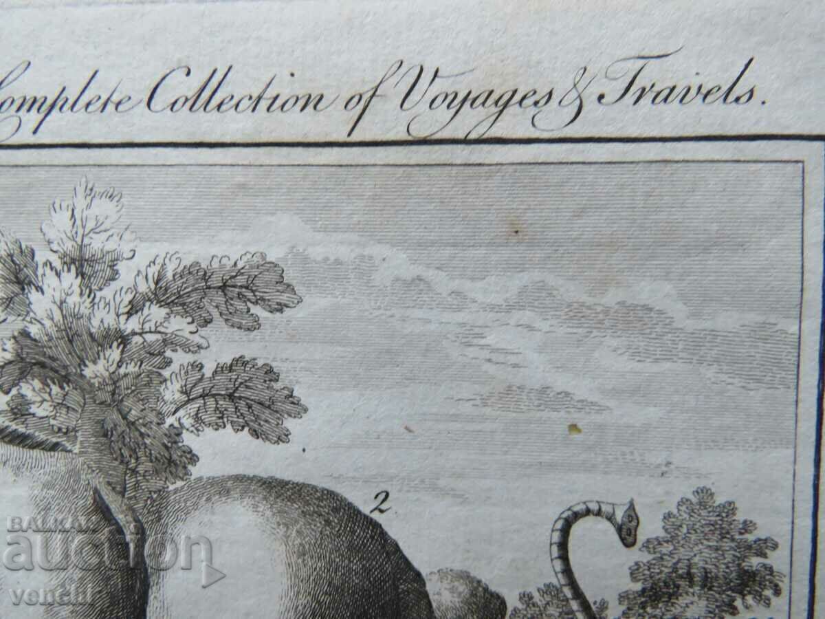 1780 - GRAVURĂ - MAURICE - ORIGINAL - 6