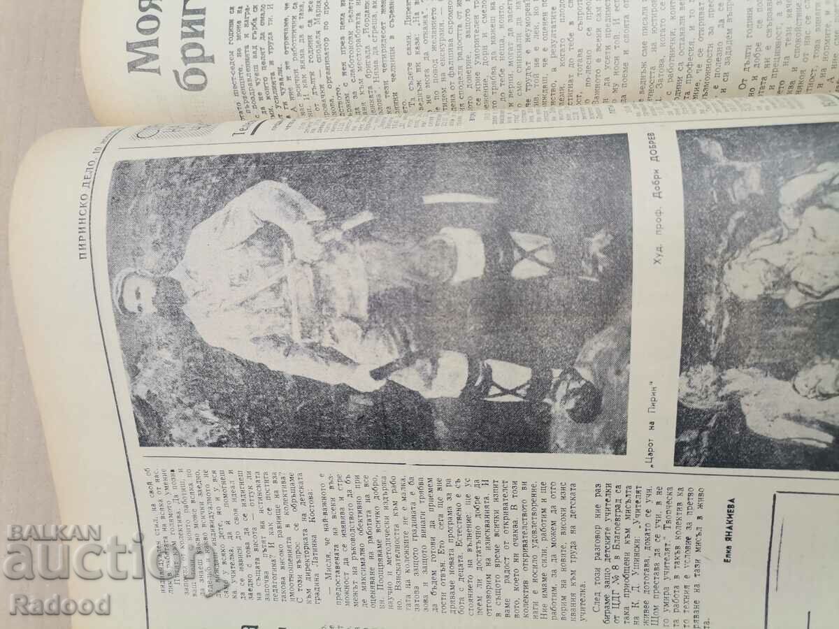 Auction Pirin Case Auction Pirin Case