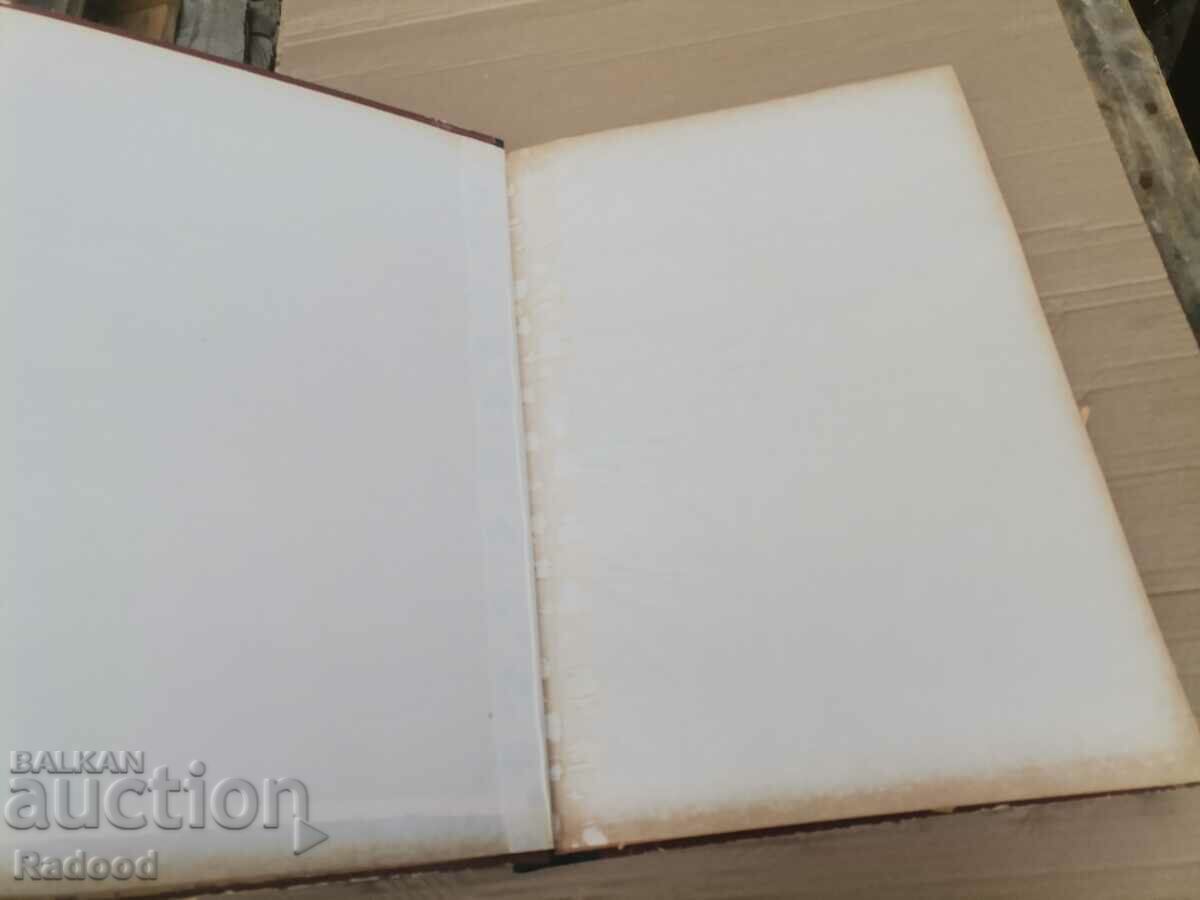 Pirin Case - 5 Pirin Case - 5