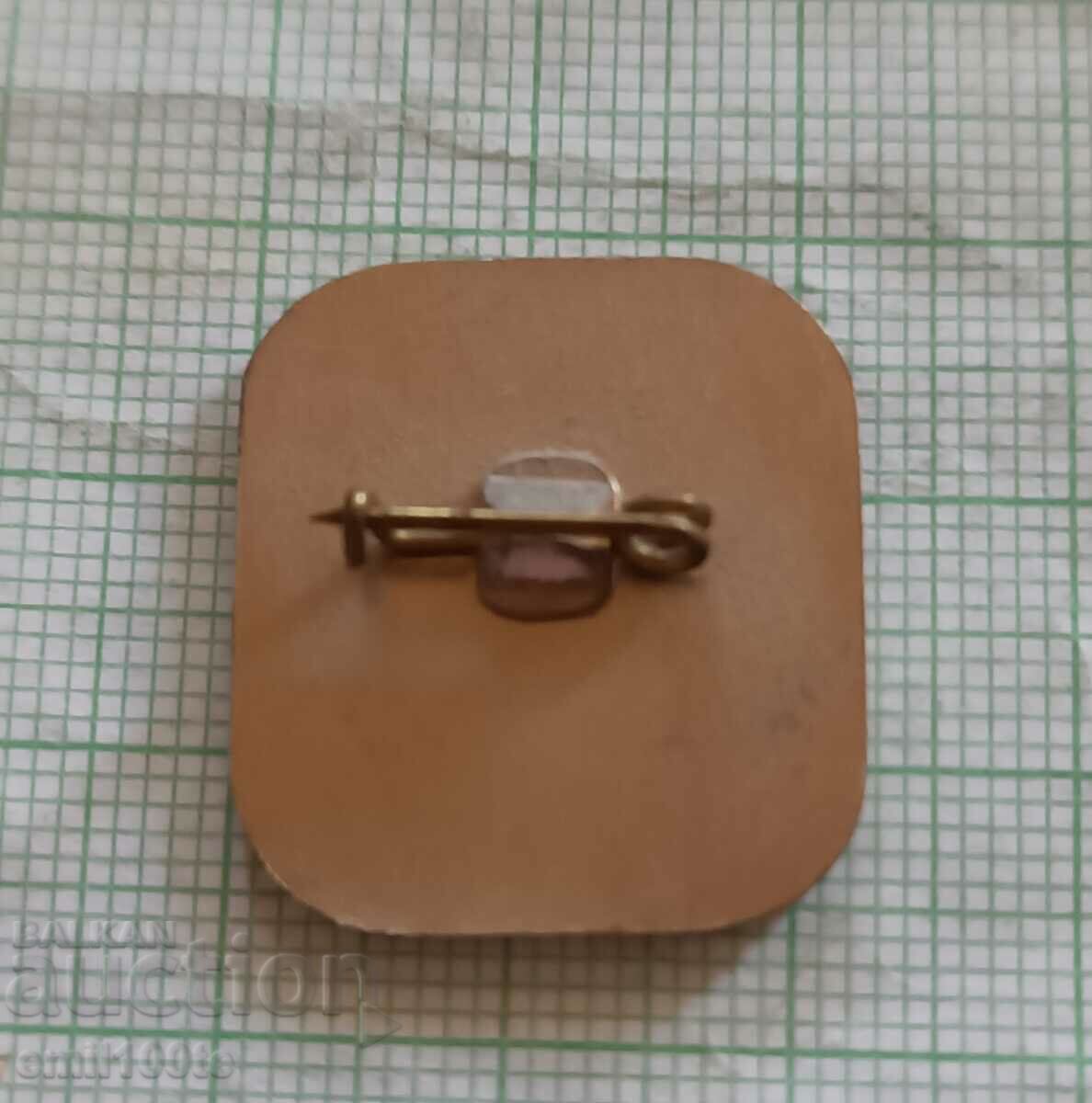 Delivery of Badge - King Simeon