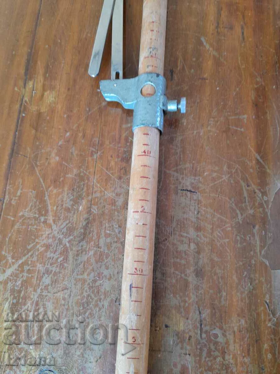 Auction An old cane Auction An old cane