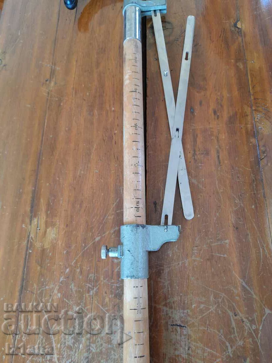 An old cane - 6 An old cane - 6