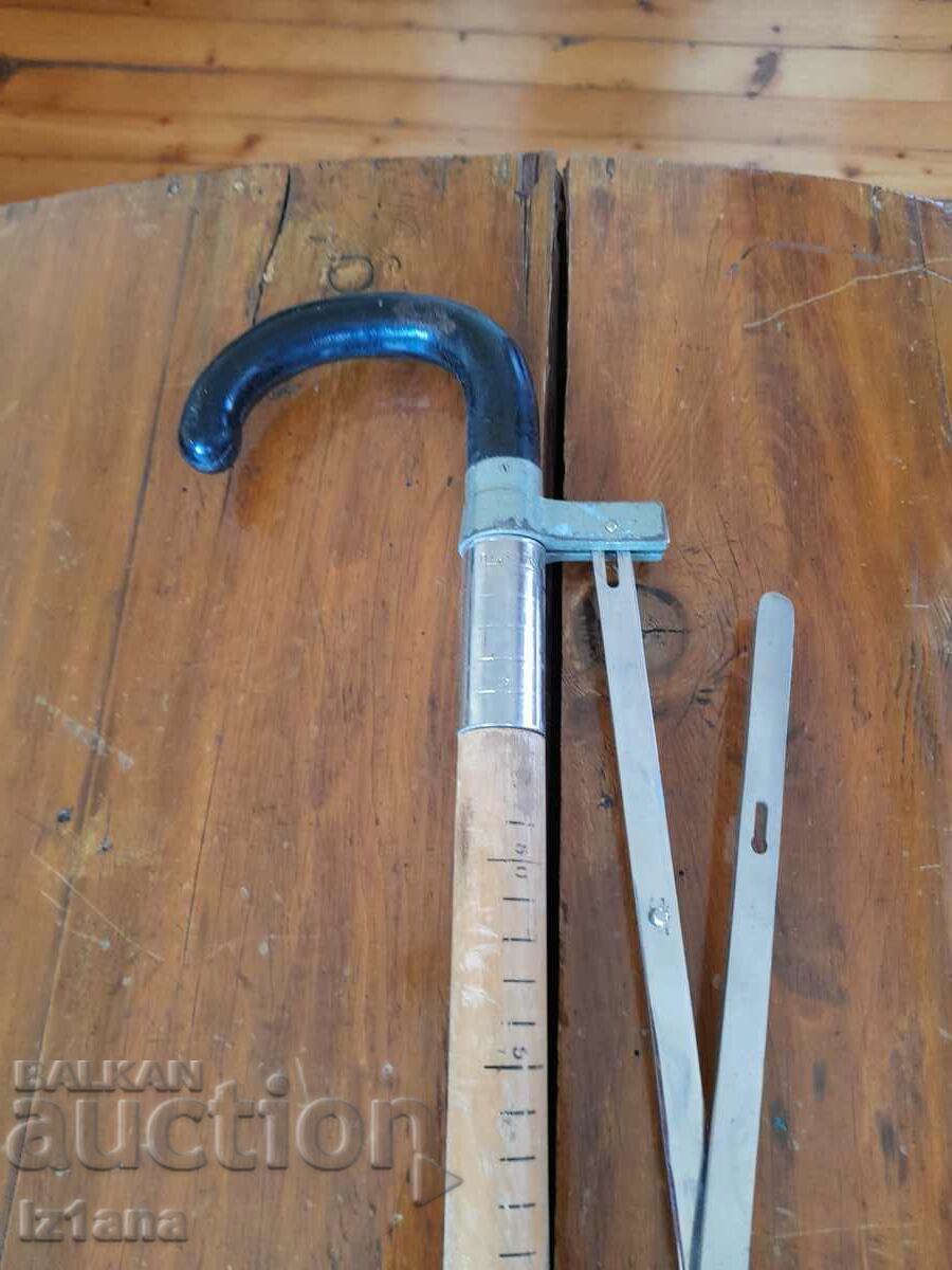 An old cane - 7 An old cane - 7