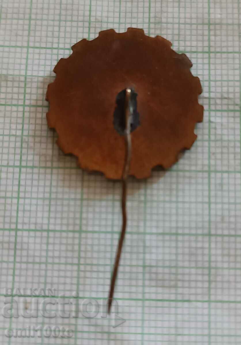 Delivery of Badge - SZ Electrometal Delivery of Badge - SZ Electrometal