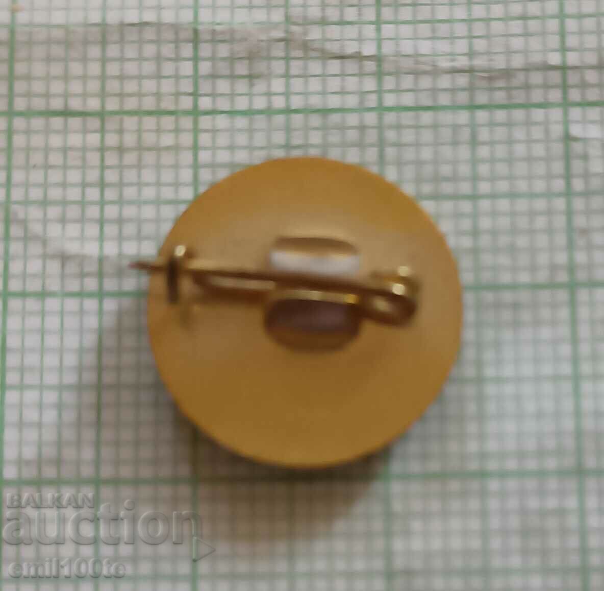 Badge - Port Lom with price 2.00 BGN | € 1.02 Badge - Port Lom with price 2.00 BGN | € 1.02