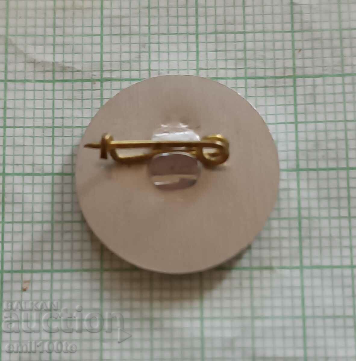 Badge - Dolphinarium Varna - 6 Badge - Dolphinarium Varna - 6