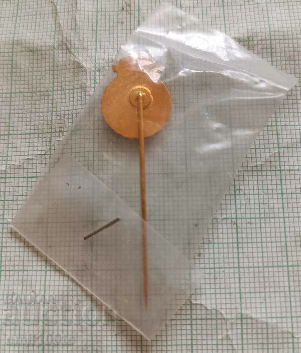 Delivery of Badge - Swedish Archery Federation Delivery of Badge - Swedish Archery Federation