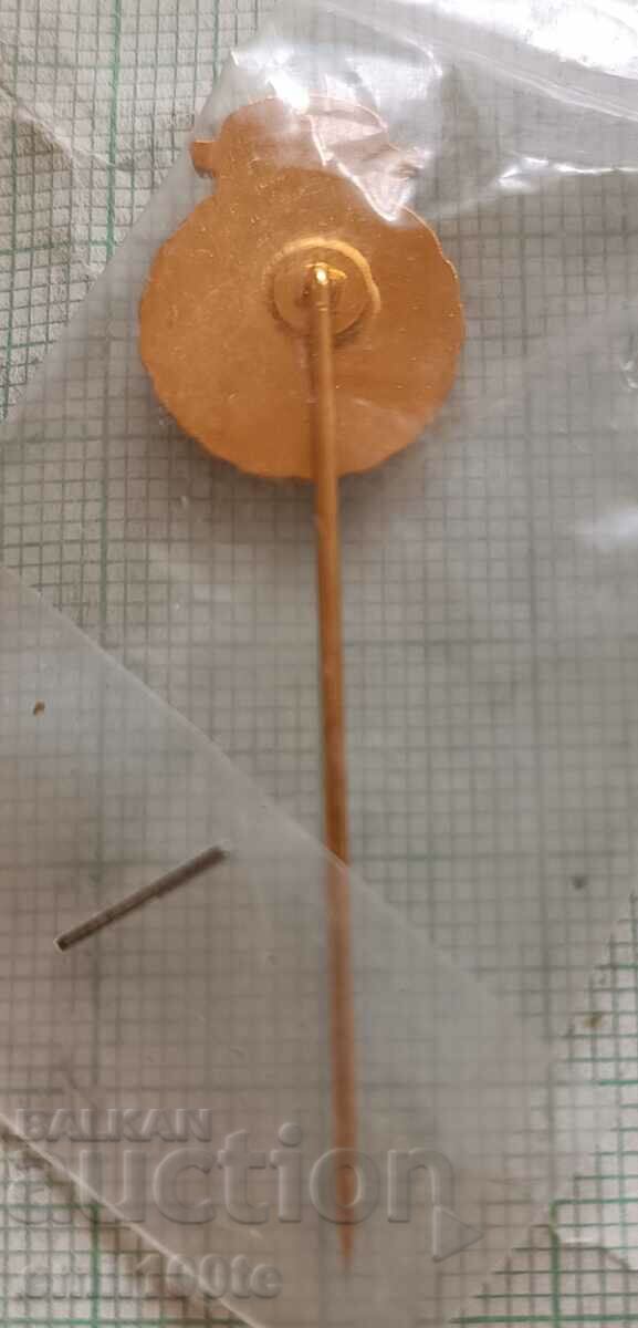 Badge - Swedish Archery Federation - 5 Badge - Swedish Archery Federation - 5