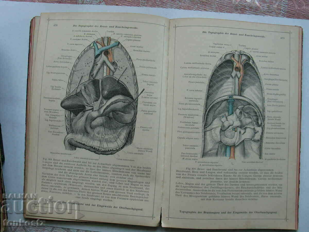 4бр. Анатомични атласа на немски език 1903г.