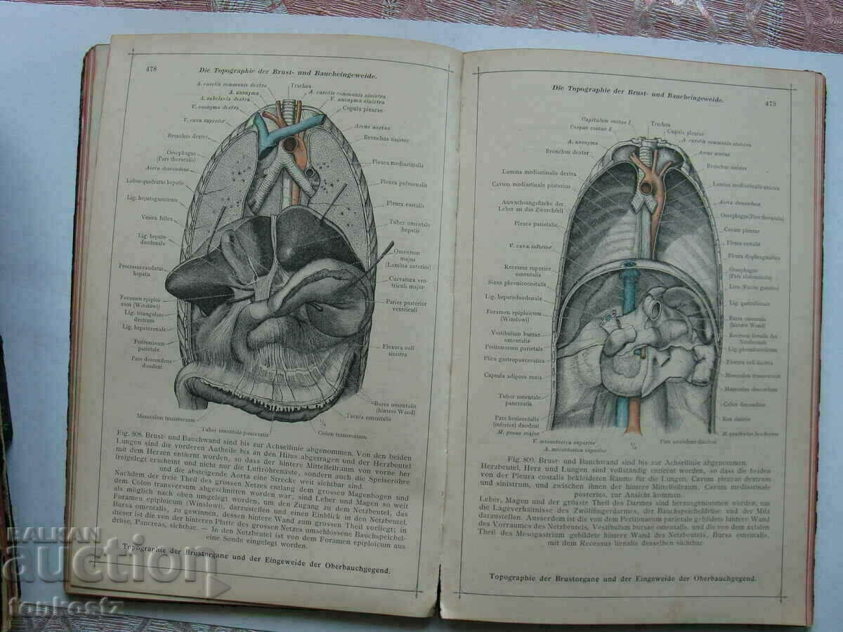 4бр. Анатомични атласа на немски език 1903г.