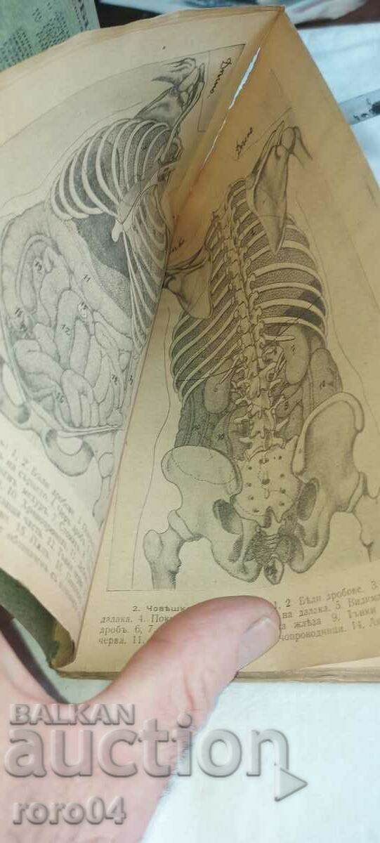 Auction FIRST AID FOR ILLNESS AND ACCIDENT Auction FIRST AID FOR ILLNESS AND ACCIDENT